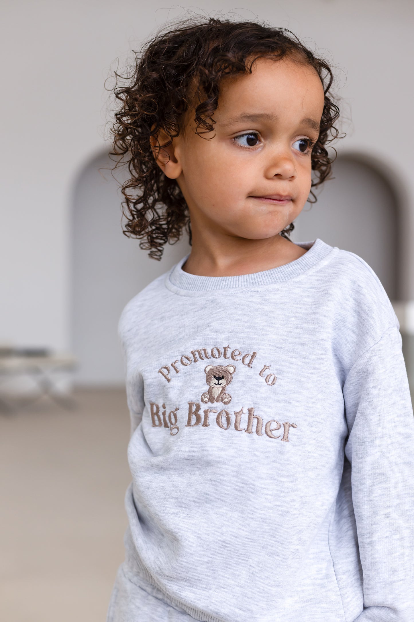 'Promoted to Big Brother embroidered bear sweatshirt