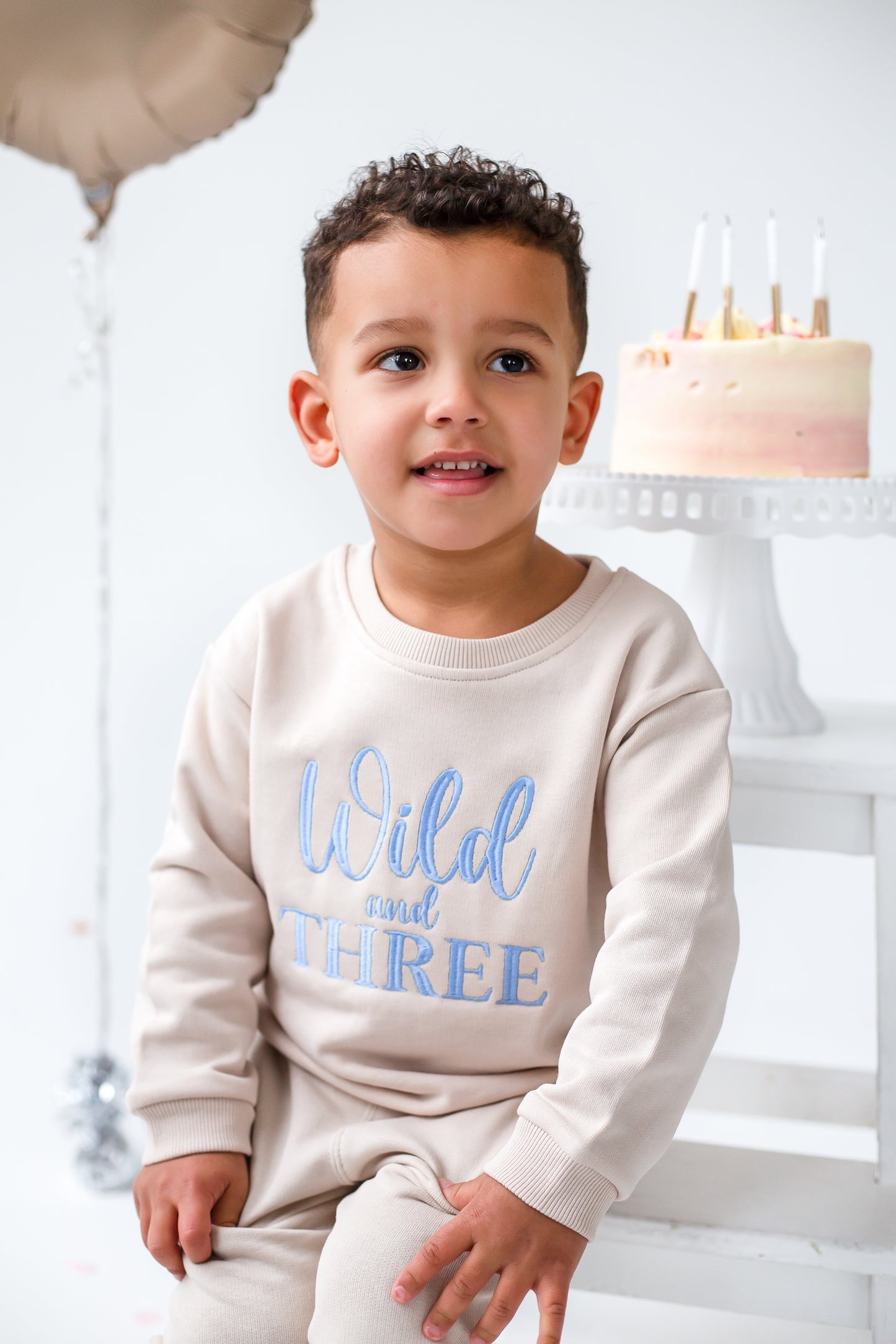 'Wild and Three' Second birthday personalised embroidered sweatshirt Jumper