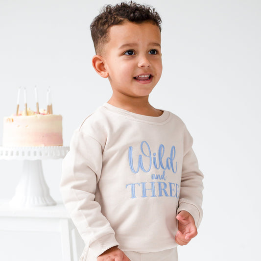 'Wild and Three' Third birthday personalised embroidered sweatshirt Jumper