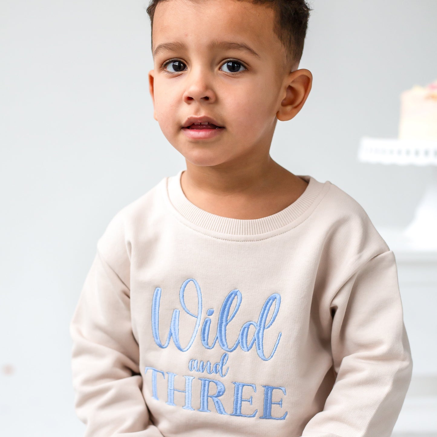 'Wild and Three' Second birthday personalised embroidered sweatshirt Jumper