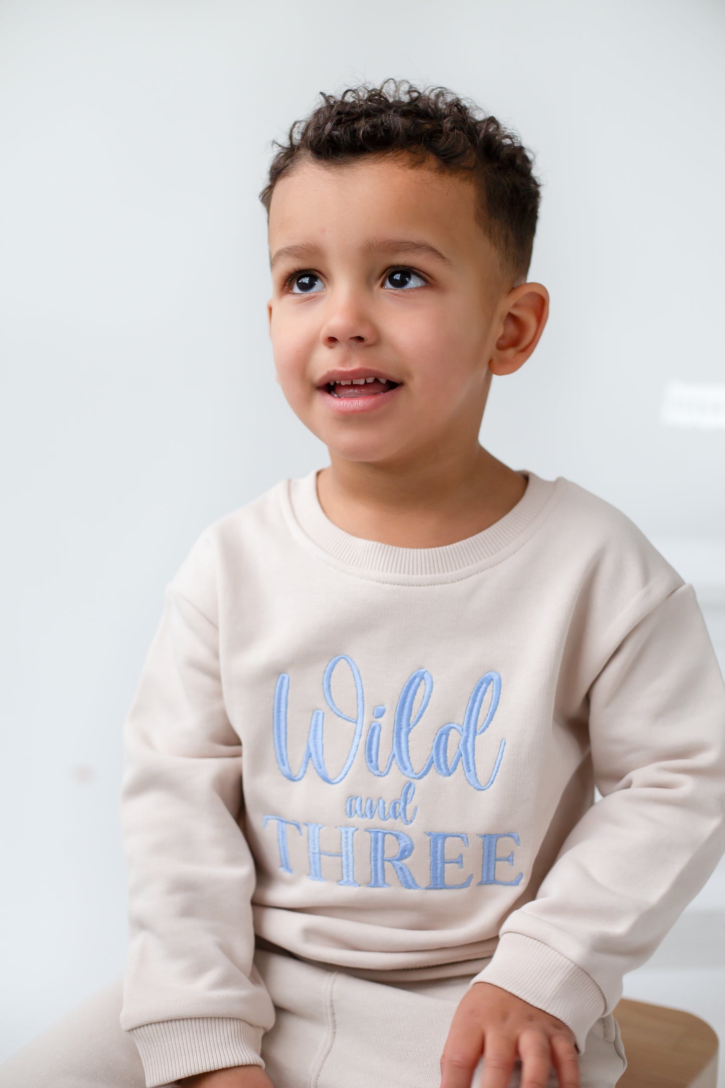 'Wild and Three' Second birthday personalised embroidered sweatshirt Jumper