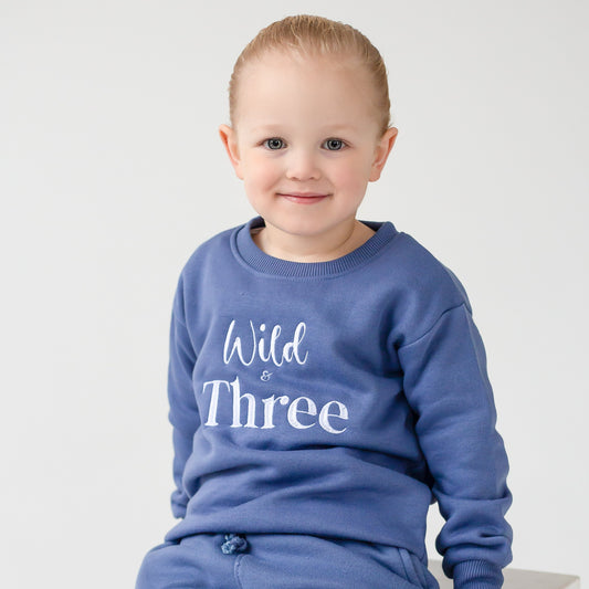 'Wild and Three' birthday embroidered sweatshirt