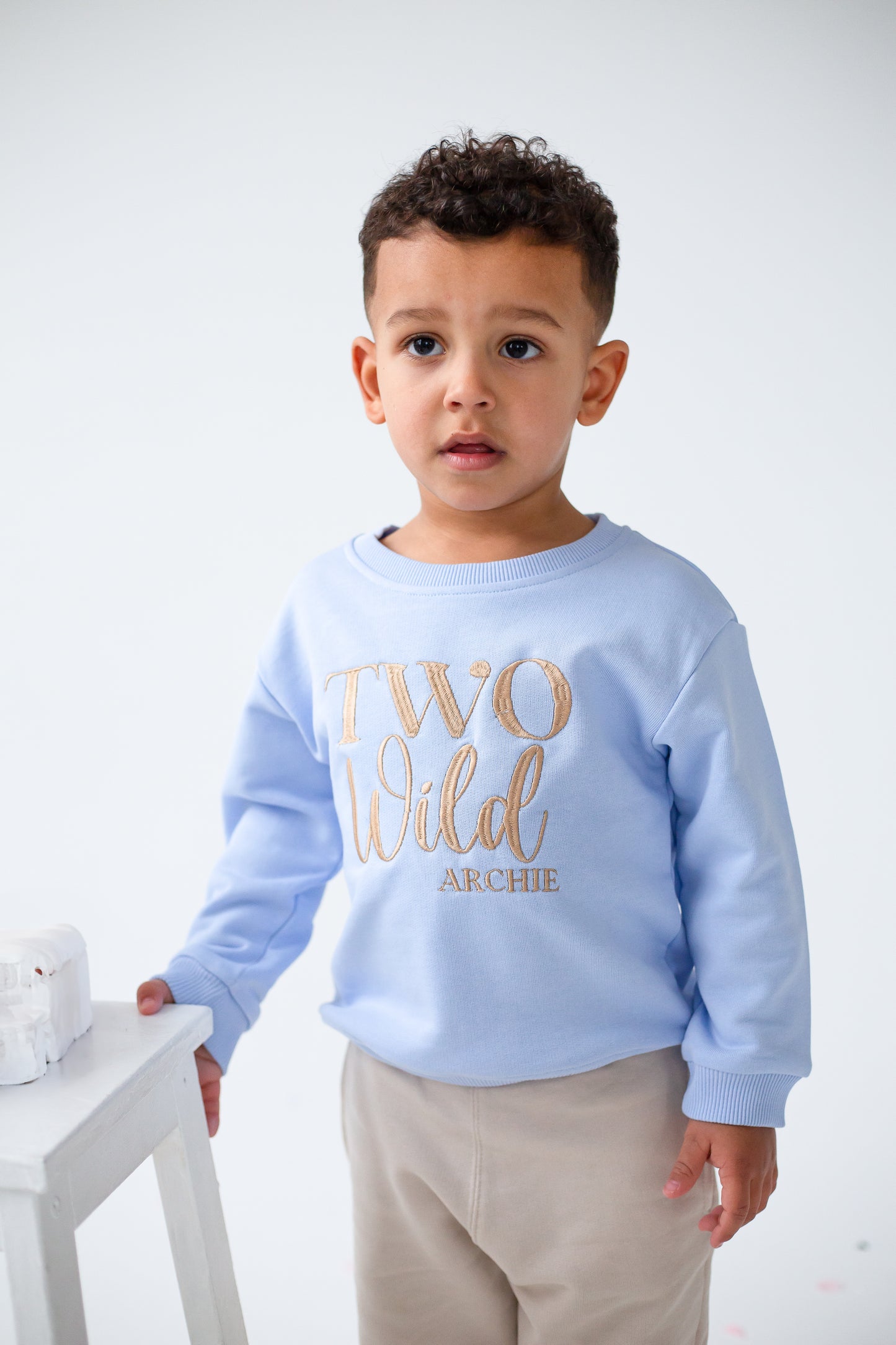 'Two Wild' Second birthday personalised embroidered sweatshirt Jumper