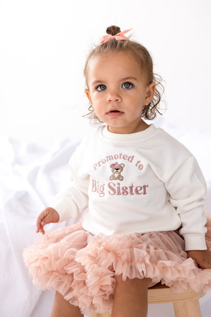'Promoted to Big Sister' embroidered bear sweatshirt