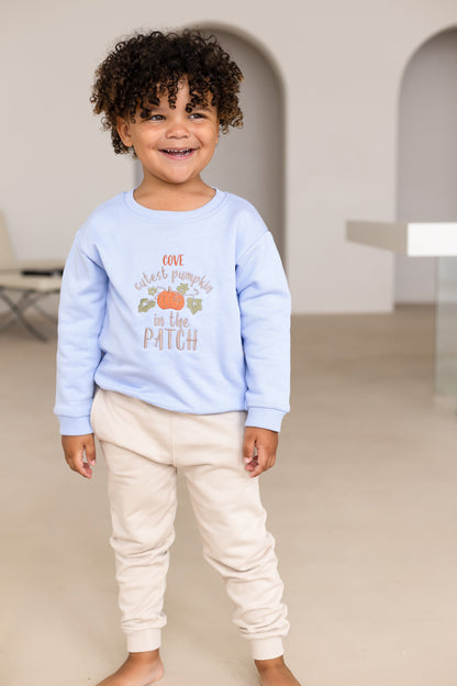 AW 'Cutest pumpkin in the patch' personalised embroidered sweatshirt