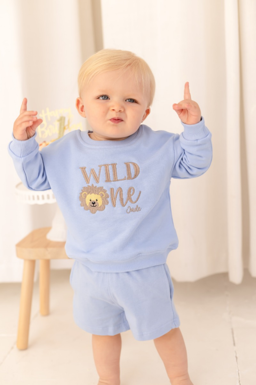 Embroidered Wild One Lion First Birthday Sweatshirt