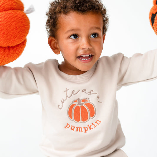 AW  'Cute as a pumpkin' embroidered sweatshirt