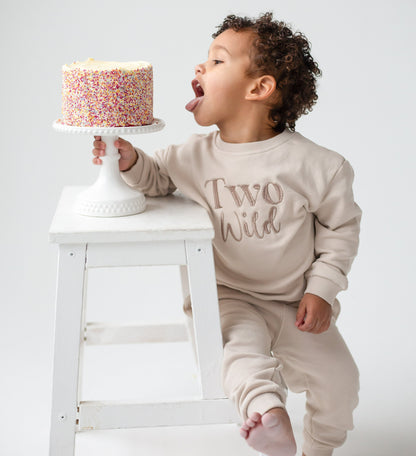 'Two Wild' Second birthday embroidered sweatshirt