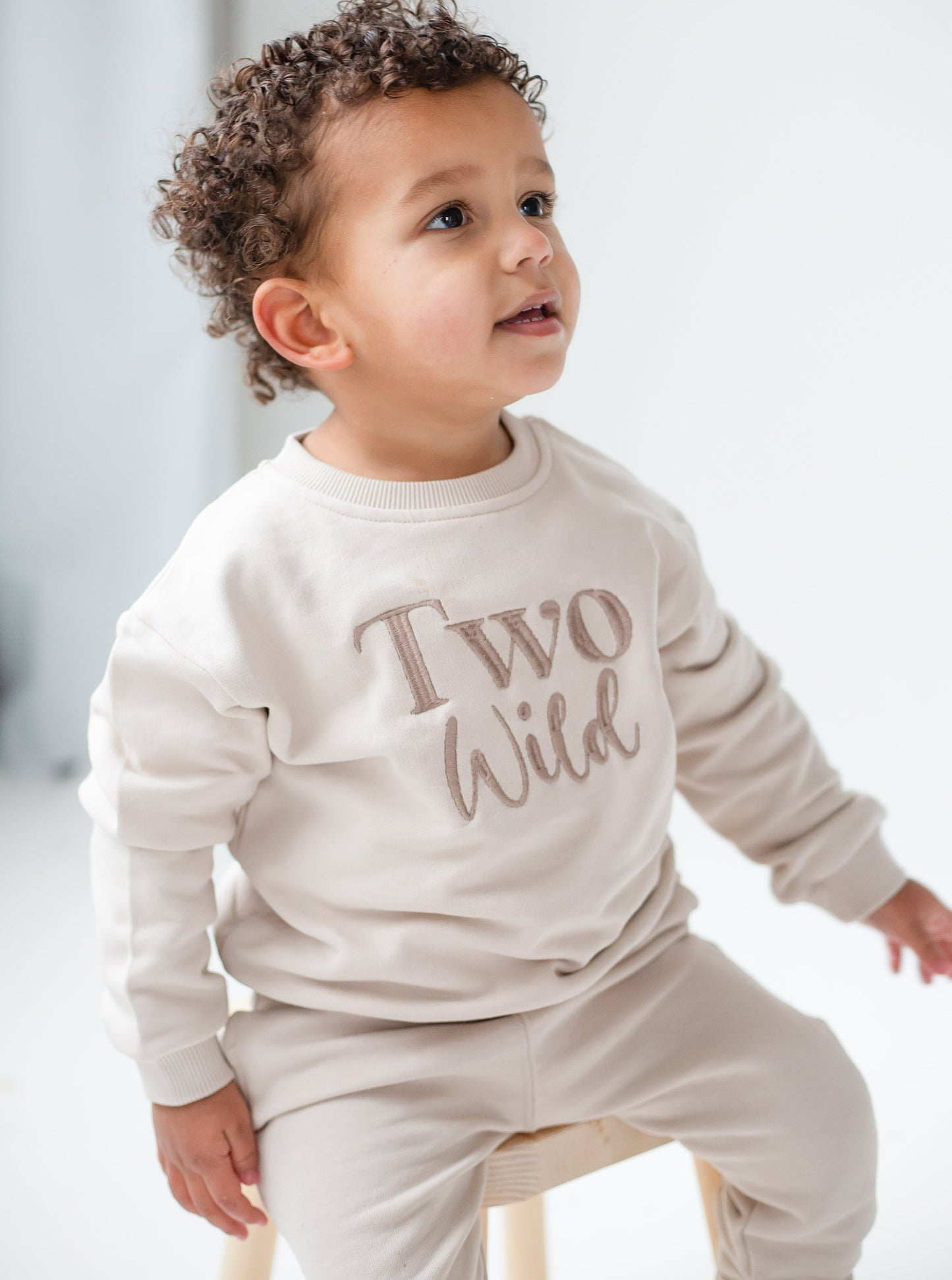 'Two Wild' Second birthday embroidered sweatshirt