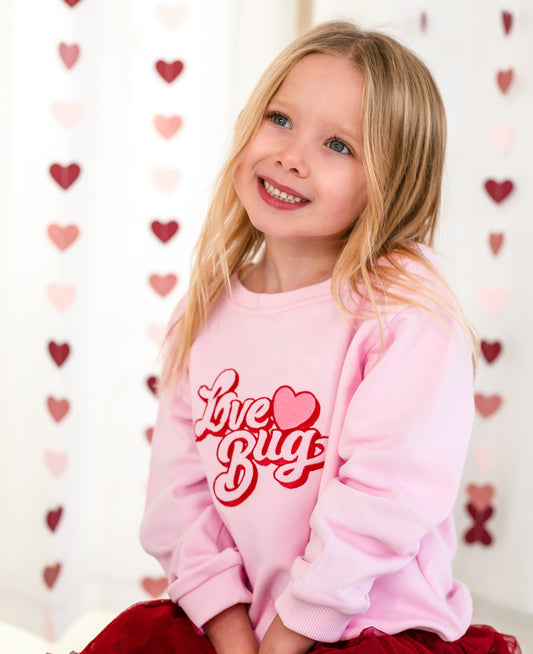 Valentines 'Love Bug' retro embroidered sweatshirt
