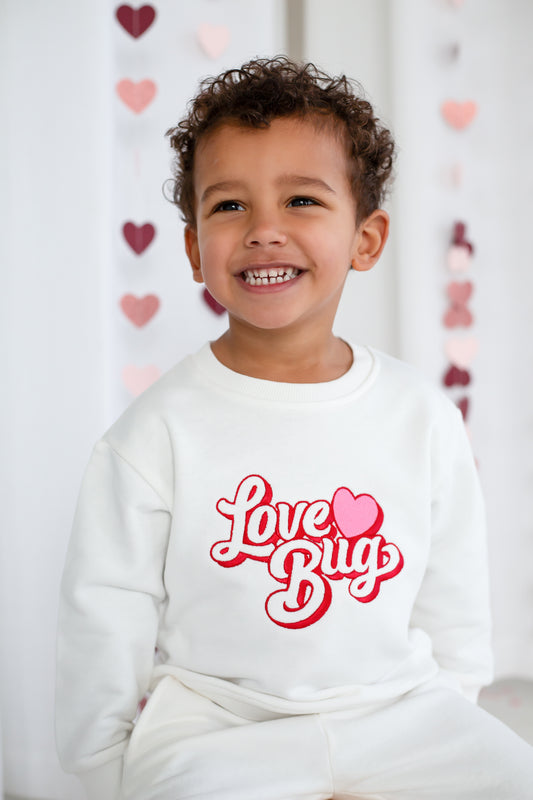 Valentines 'Love Bug' retro embroidered sweatshirt