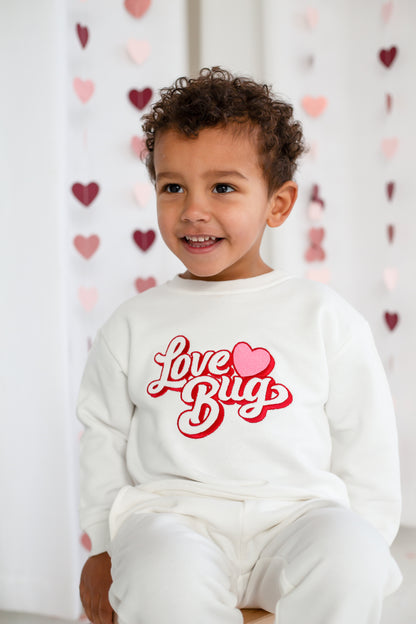 Valentines 'Love Bug' retro embroidered sweatshirt