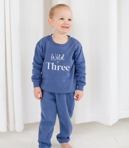 'Wild and Three' birthday embroidered sweatshirt