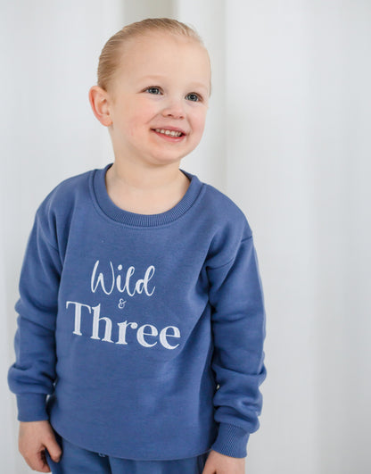 'Wild and Three' birthday embroidered sweatshirt