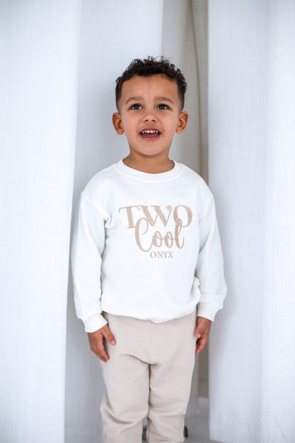 'Two Cool' Second birthday personalised embroidered sweatshirt Jumper